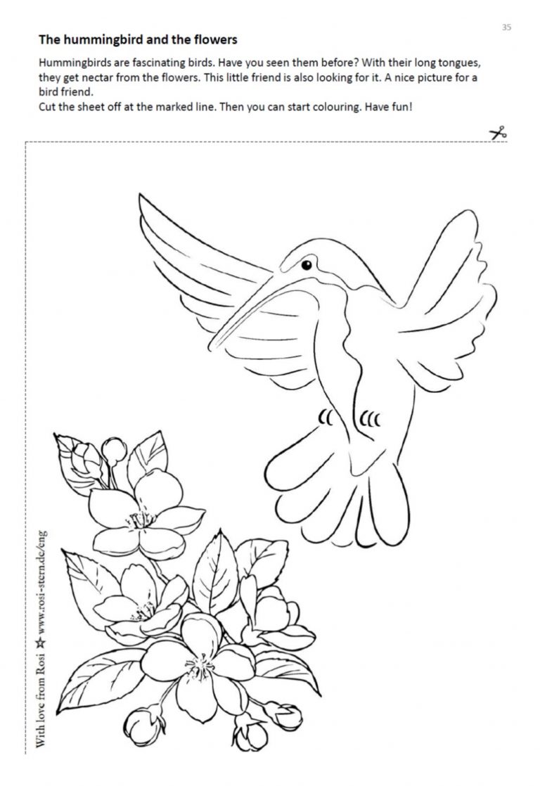 colouring page - I am creative for you: 9 years - bird