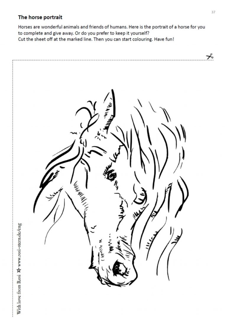 colouring page - I am creative for you: 9 years - horse