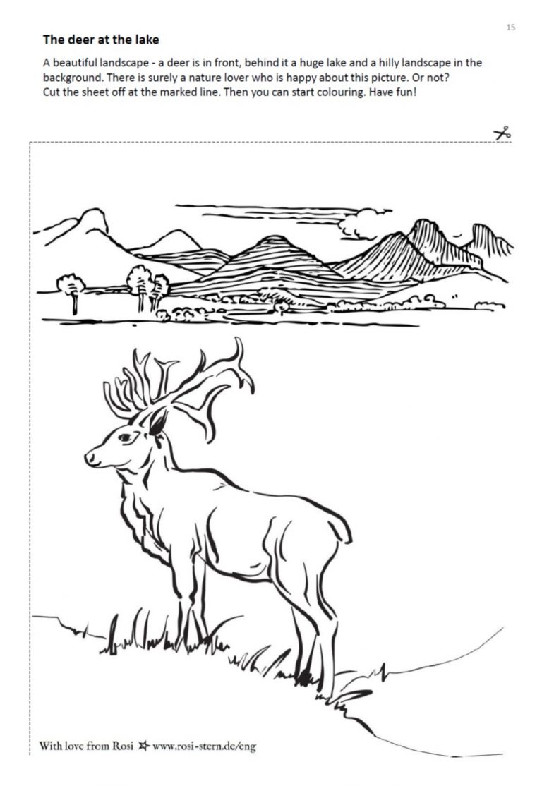 colouring page - I am creative for you: 9 years - deer