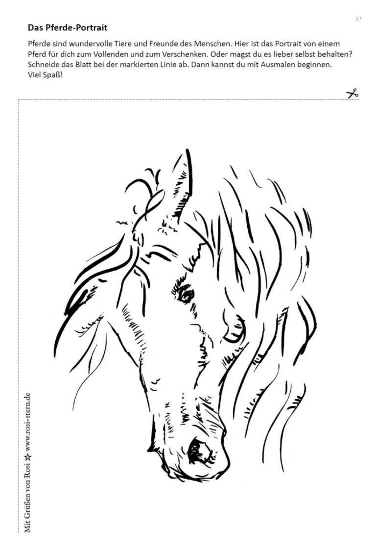 Heft 1 - Ich bin kreativ für dich: ab 9 Jahren - Ausmalbild Pferd